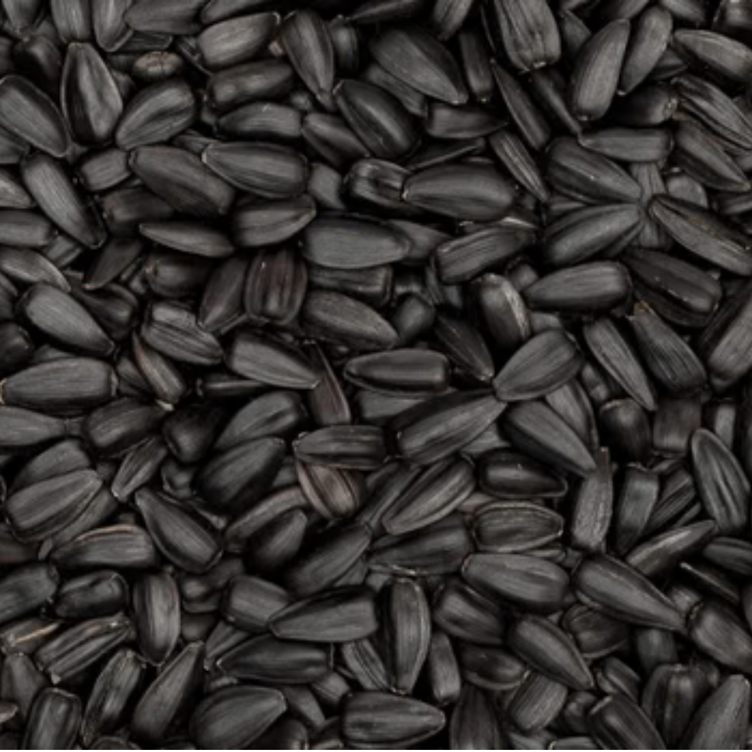 Aceite de semilla negra